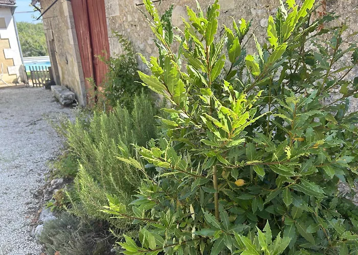 La Maison D'augustin En Perigord Vakantiehuis Limeyrat